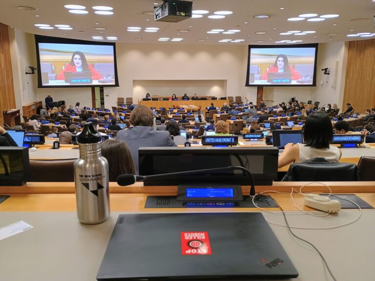 Statement on Technical Considerations in Open Informal Meeting at UNGA 1st Committee